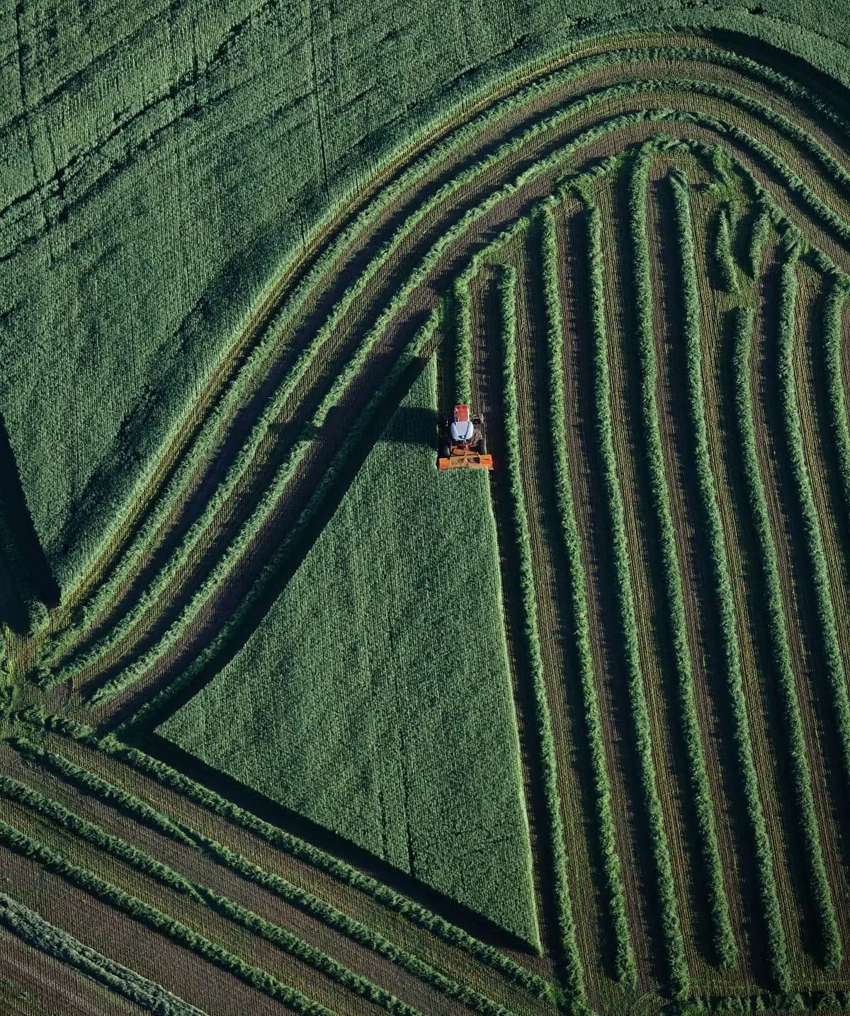 Tractor on field at sunset